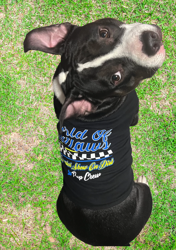 World of Outlaws- Pup Crew T-Shirt for Dogs- Blue