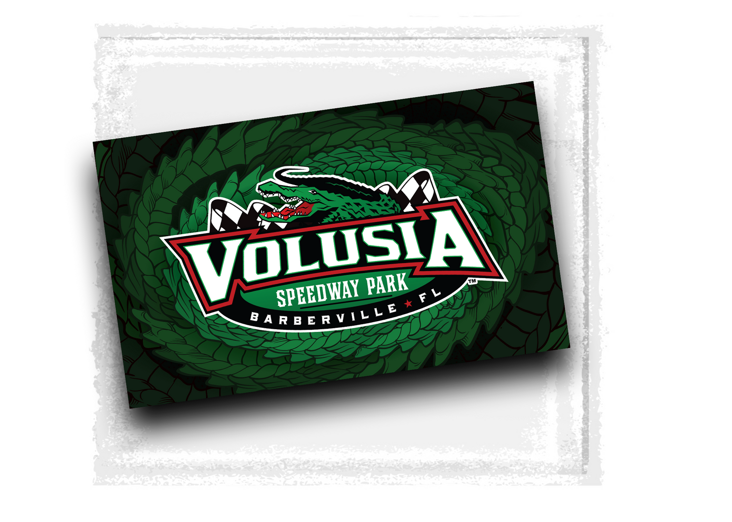Volusia Speedway Park - Logo Gator Flag