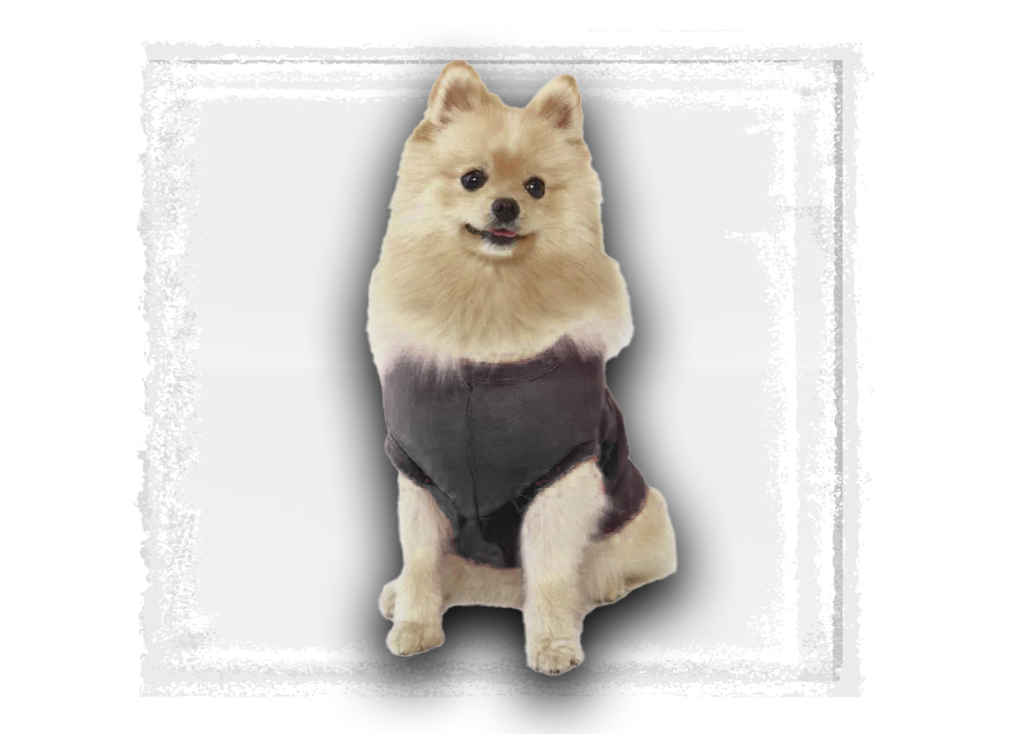 World of Outlaws- Pup Crew T-Shirt for Dogs- Pink