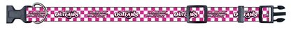 World of Outlaws - Pink Checker Dog Collar